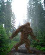 bigfoot sasquatch