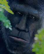 Bigfoot Sasquatch