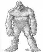 Bigfoot Sasquatch