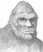 Bigfoot Sasquatch