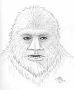Bigfoot Sasquatch