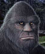 Bigfoot Sasquatch