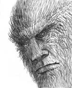 Bigfoot Sasquatch