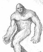 Bigfoot Sasquatch