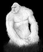 Bigfoot Sasquatch