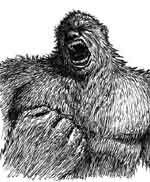 Bigfoot Sasquatch