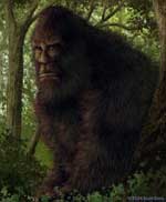 bigfoot sasquatch