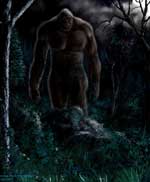 bigfoot sasquatch
