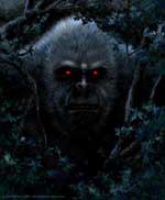 bigfoot sasquatch