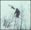 snowwalker bigfoot footage