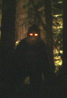 Report a bigfoot sighting